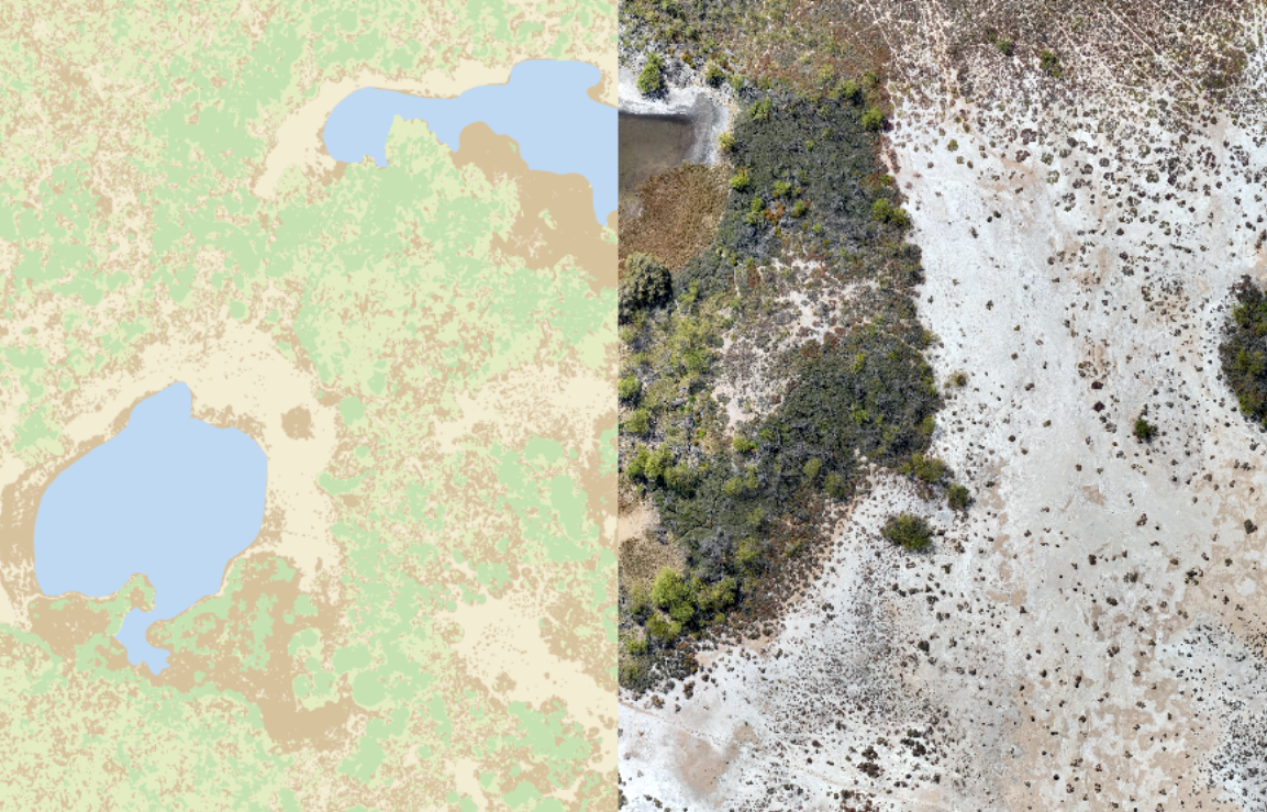 Land Classification Example
